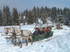 Erd�lyi turizmus, programok